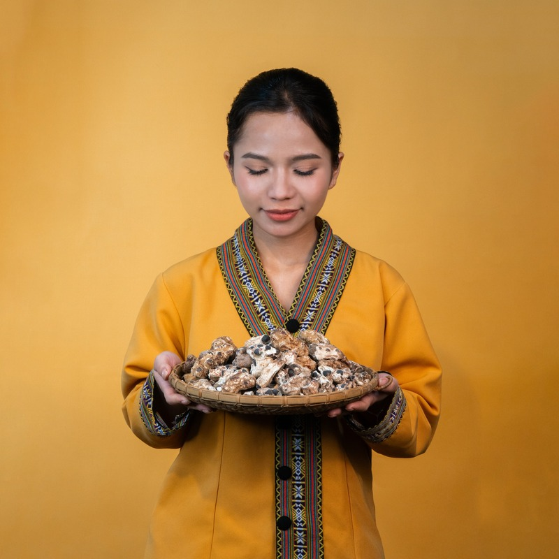 Chuối Cô Đơn Măng Đen PyLo