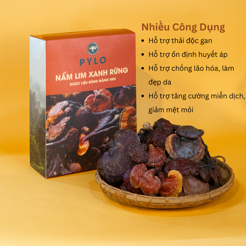 Nấm Lim Xanh Tự Nhiên PyLo