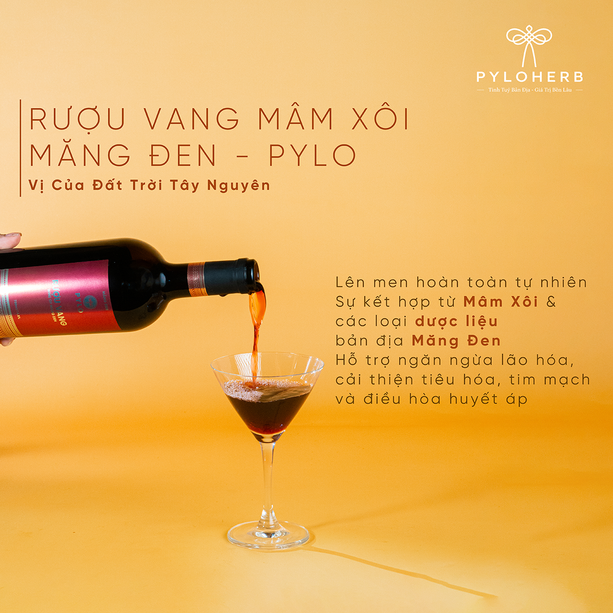 Combo Di Sản