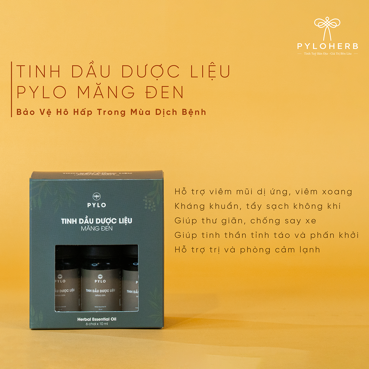 Sương Mai Đại Ngàn