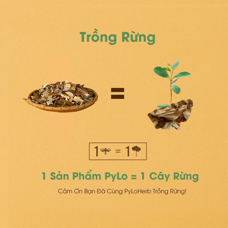 Dược Liệu Xông Cảm PyLo
