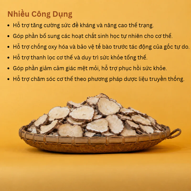 Thất Diệp Nhất Chi Hoa Măng Đen PyLo