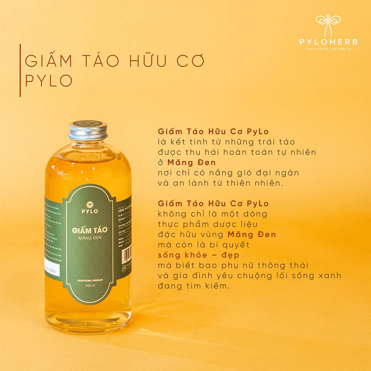 Combo Mâm Xôi Nắng Mới