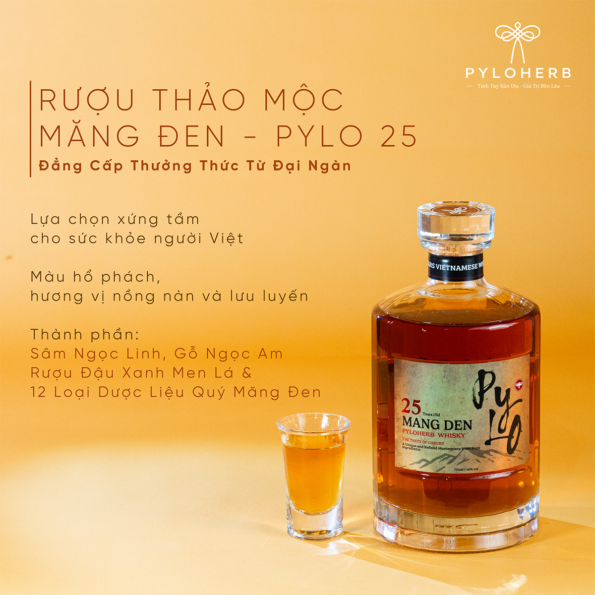 Combo Trường Thọ