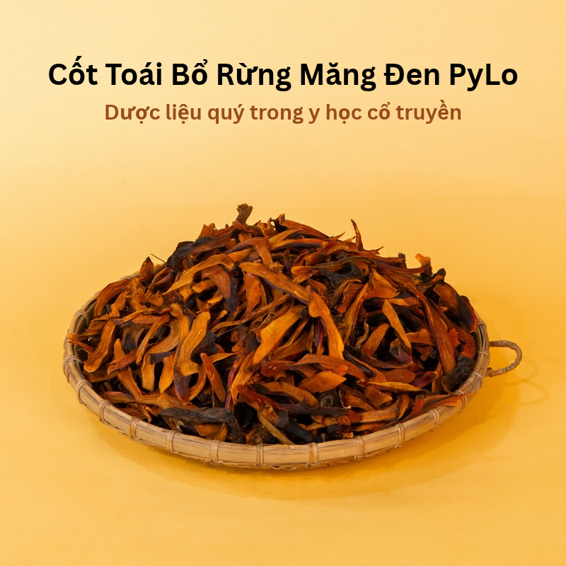 Cốt Toái Bổ Rừng PyLo