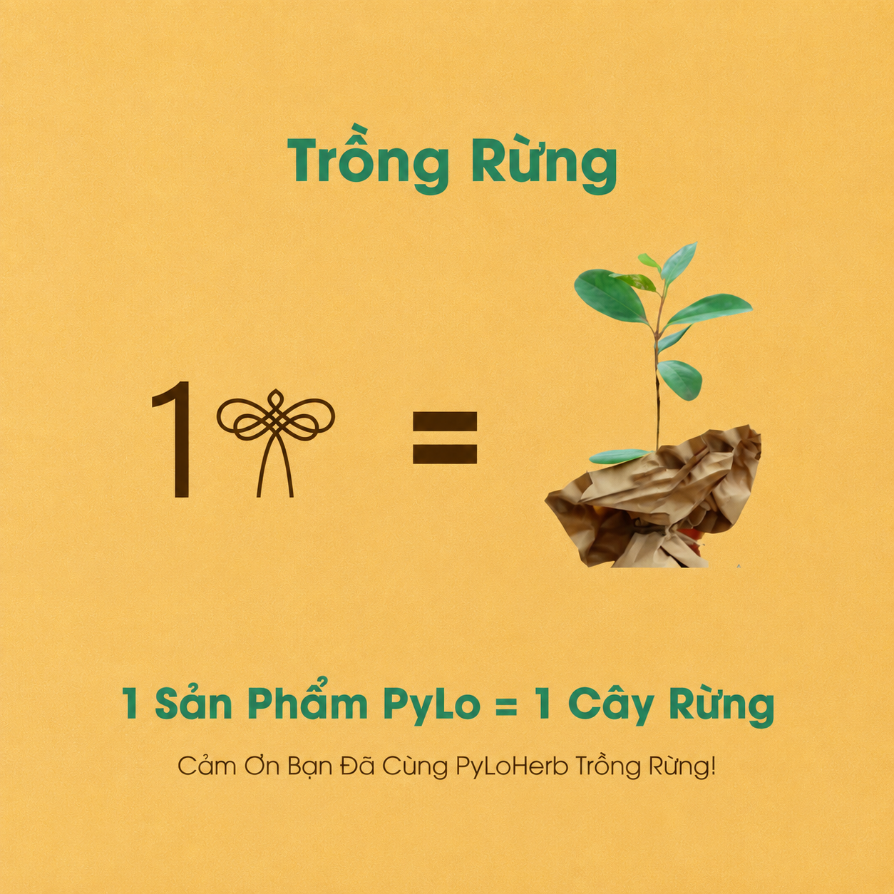 Combo Tứ Vị Thảnh Thơi