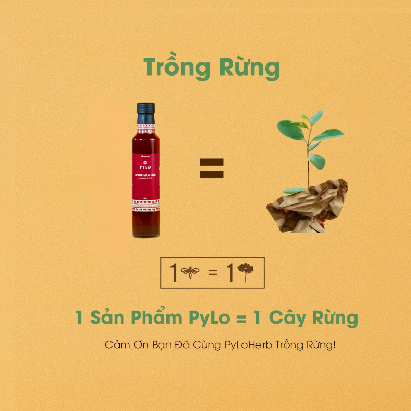 Syrup Mâm Xôi Rừng PyLo