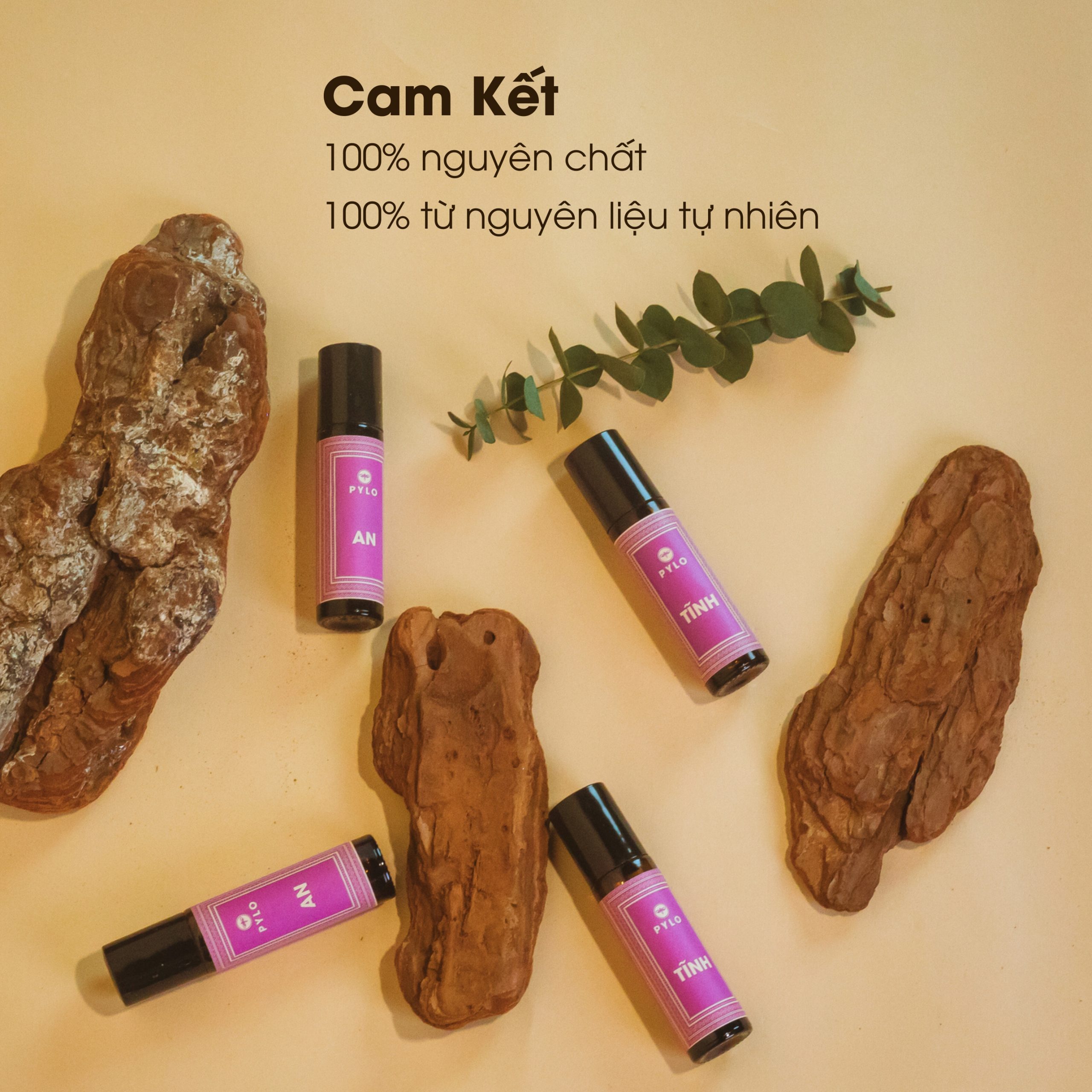 Nước Hoa Thảo Dược PyLo