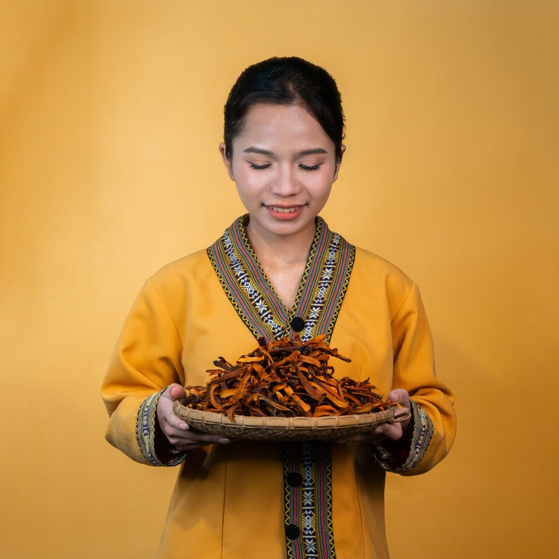 Cốt Toái Bổ Rừng PyLo
