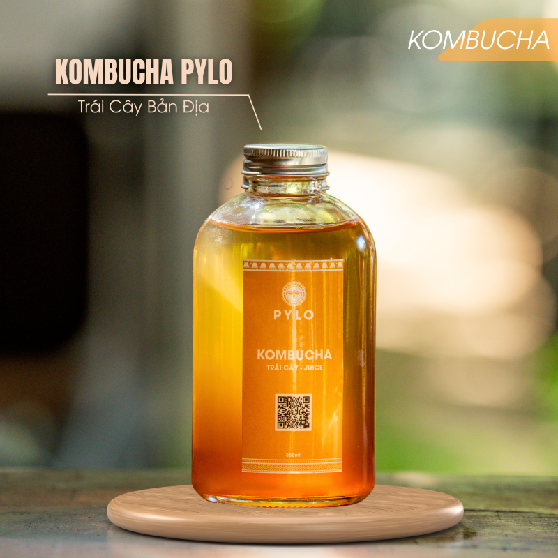 Trà Kombucha PyLo
