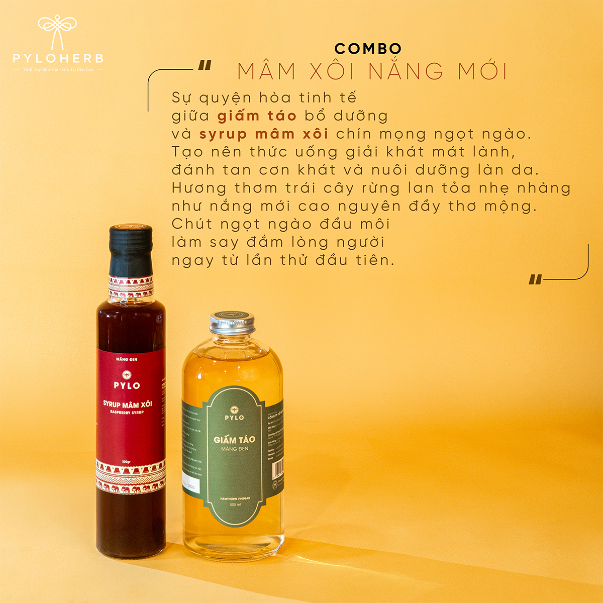 Combo Mâm Xôi Nắng Mới