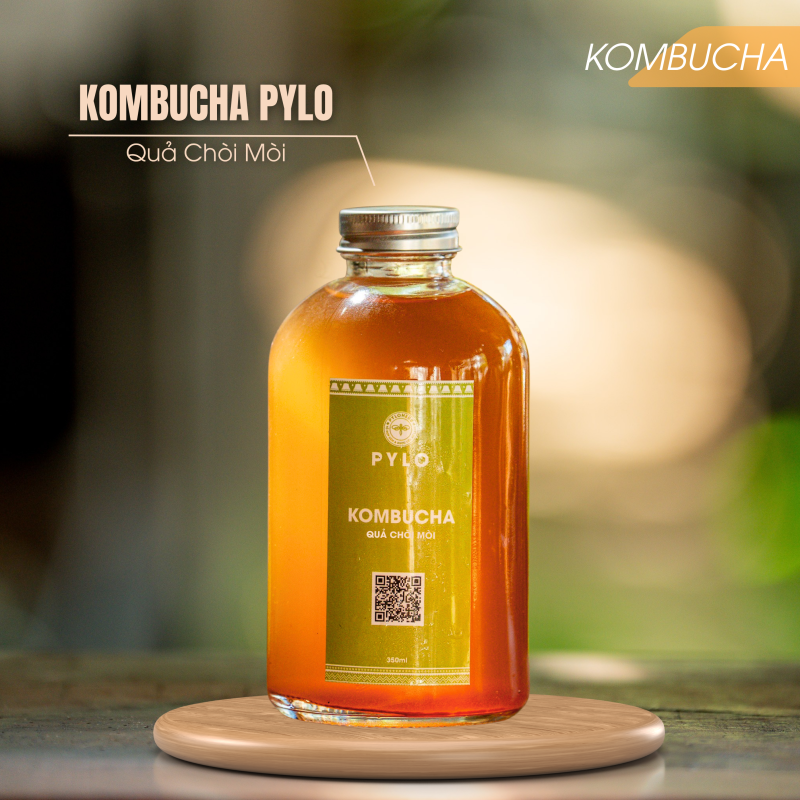 Trà Kombucha PyLo