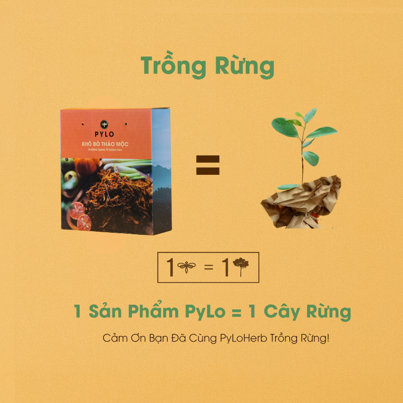 Khô Bò Thảo Mộc PyLo