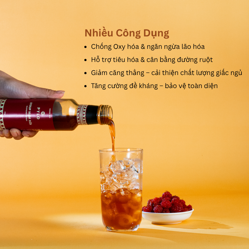Syrup Mâm Xôi Rừng PyLo