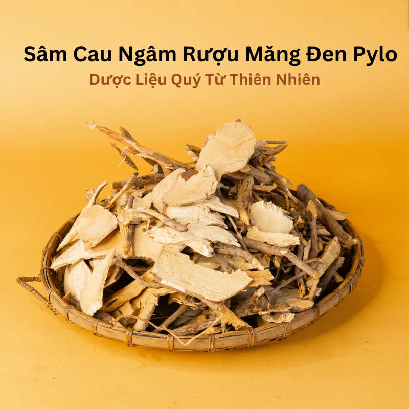 Sâm Cau Ngâm Rượu Măng Đen Pylo