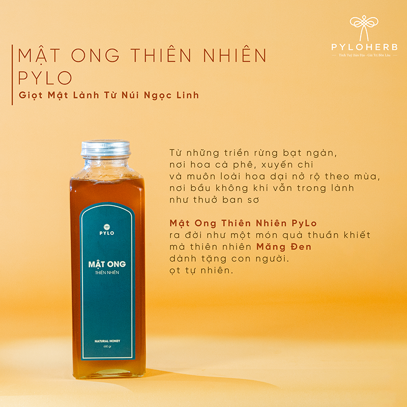 Giọt Mật Rừng Sâu