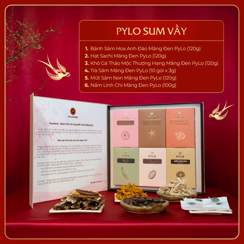 PyLo Sum Vầy [BST HƯƠNG XUÂN] – QUÀ TẾT PYLO 2026 ‘HƯƠNG XUÂN TỪ ĐẤT LÀNH’