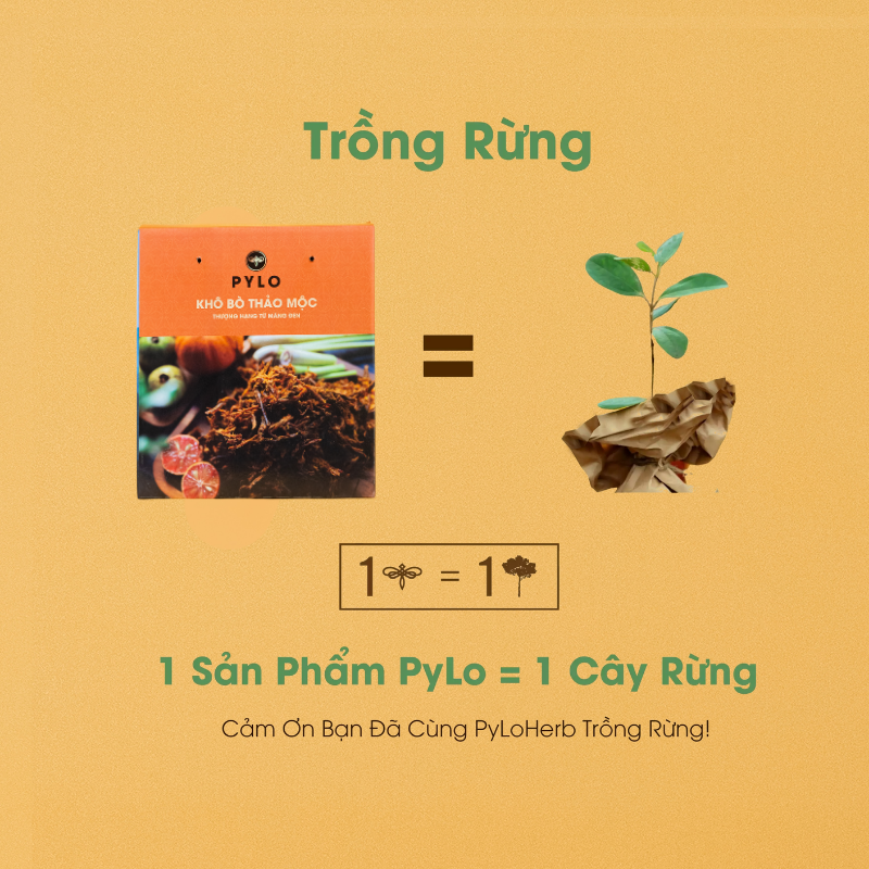 Khô Bò Thảo Mộc PyLo