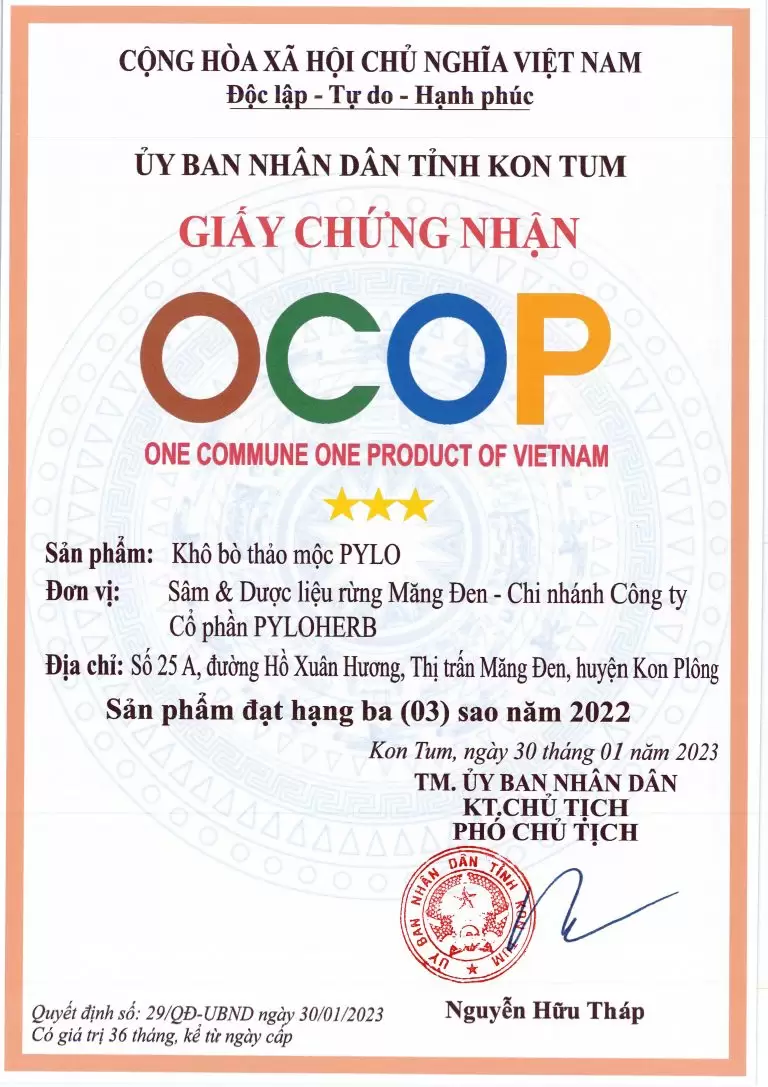 Khô Bò Thảo Mộc PyLo