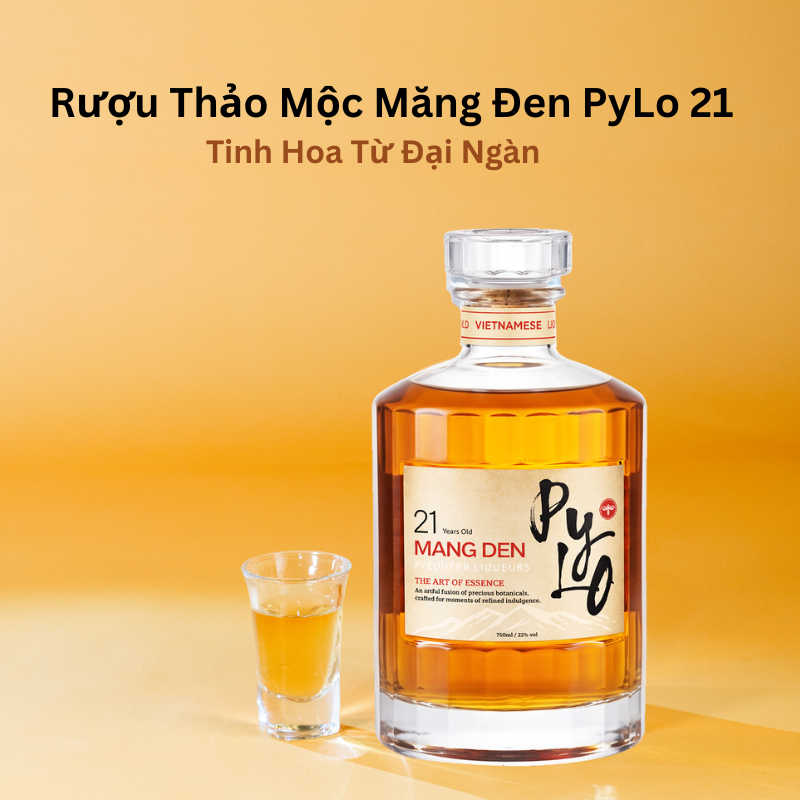 Rượu Thảo Mộc Măng Đen PyLo 21