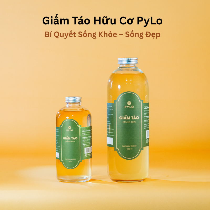 Giấm Táo Hữu Cơ PyLo