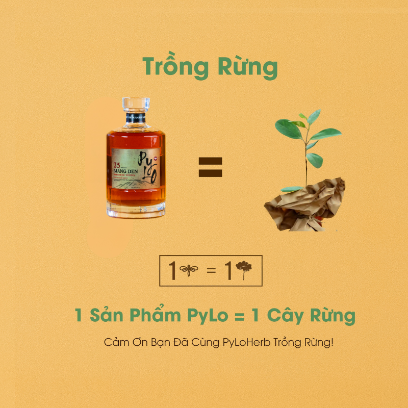 Rượu Thảo Mộc Măng Đen PyLo 25