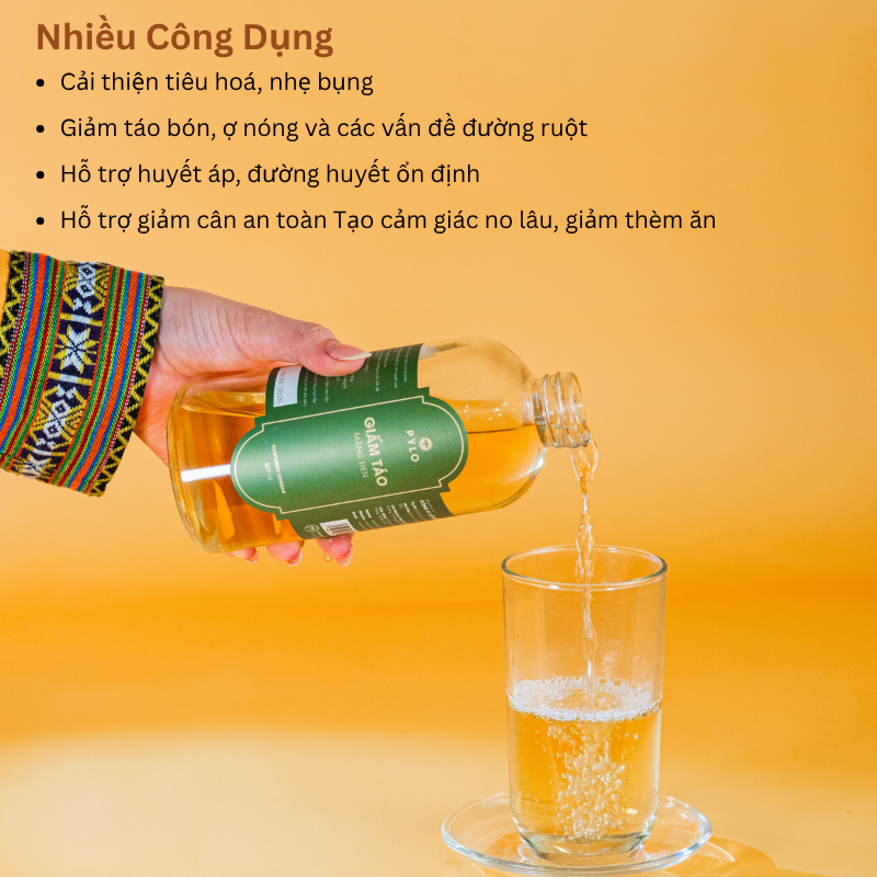 Giấm Táo Hữu Cơ PyLo