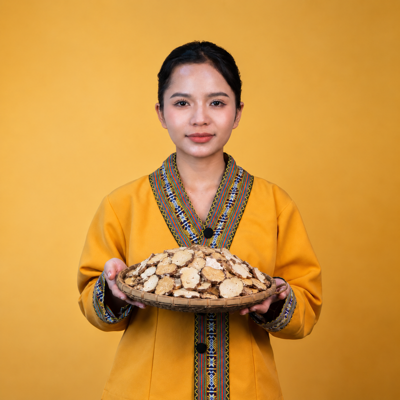 Thất Diệp Nhất Chi Hoa Măng Đen PyLo