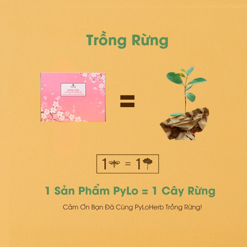Bánh Sâm Hoa Anh Đào PyLo