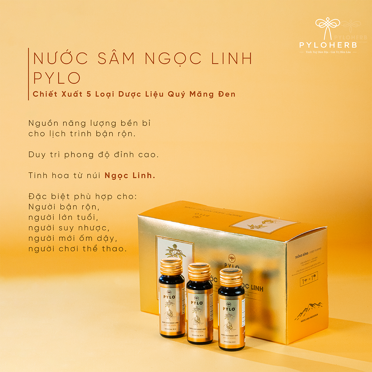 Combo Thịnh Vượng