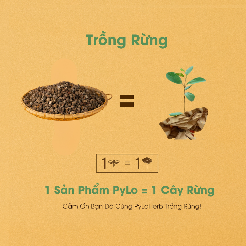 Sim Măng Đen Pylo
