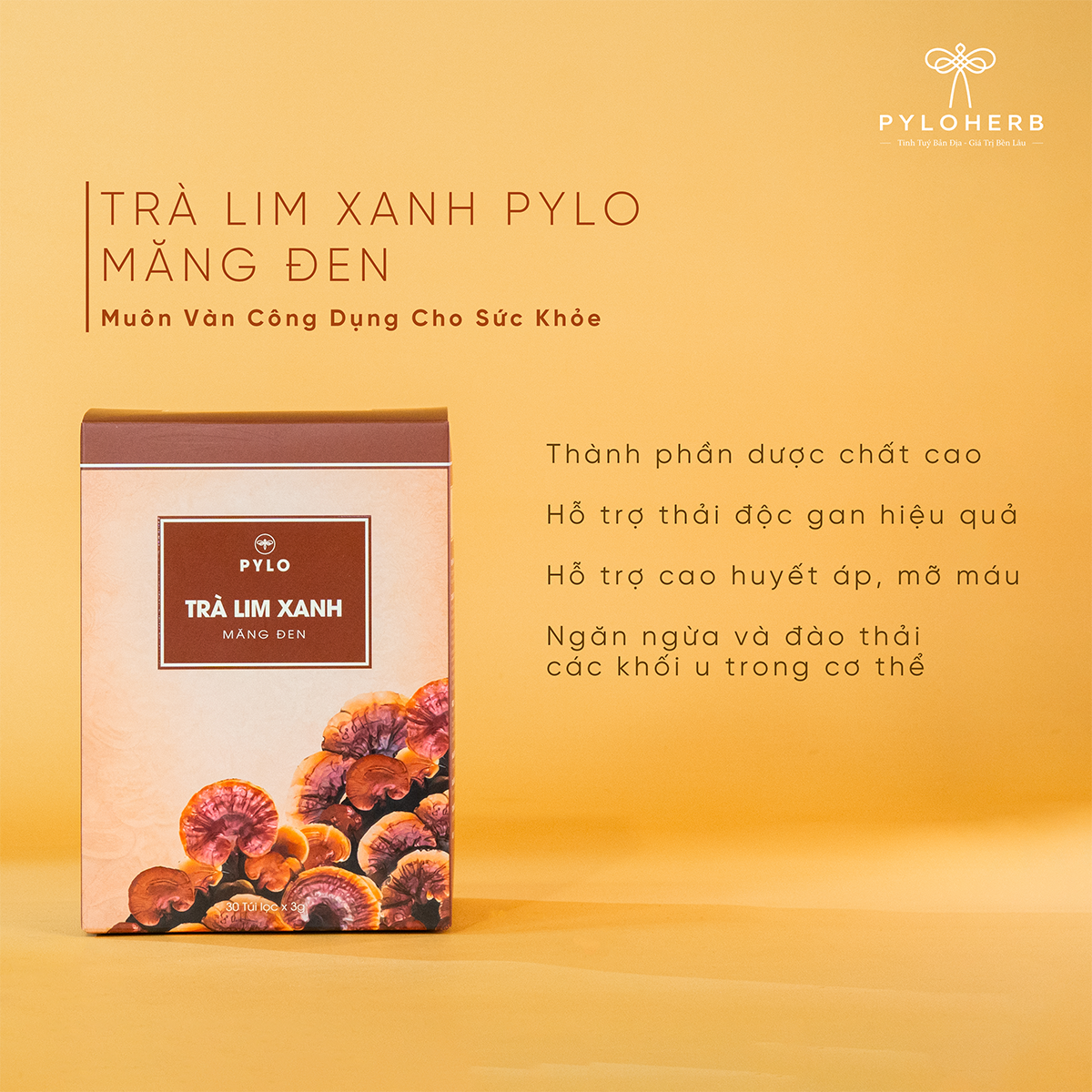 Combo Tri Ân Bạn Bè
