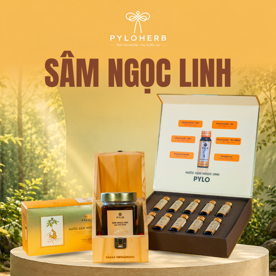 SÂM NGỌC LINH