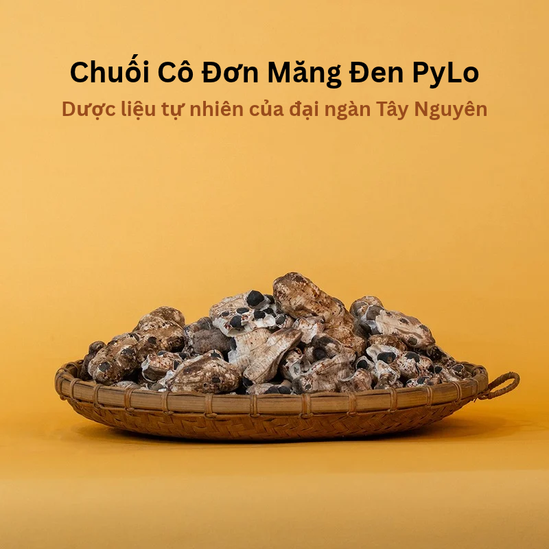 Chuối Cô Đơn Măng Đen PyLo