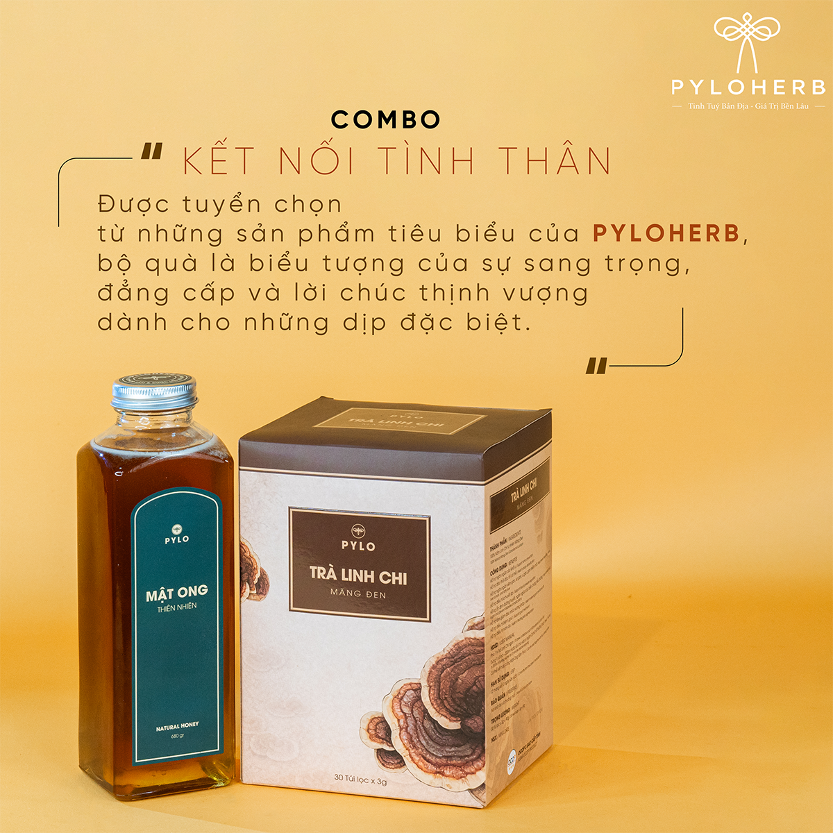 Combo Kết Nối Tình Thân