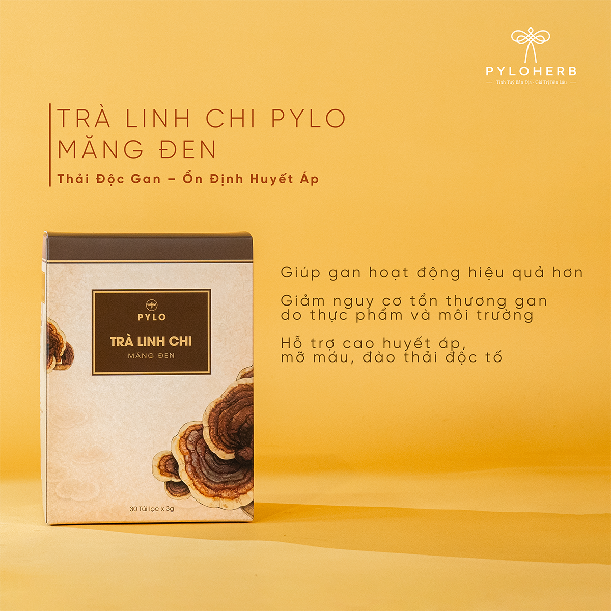 Combo Kết Nối Tình Thân