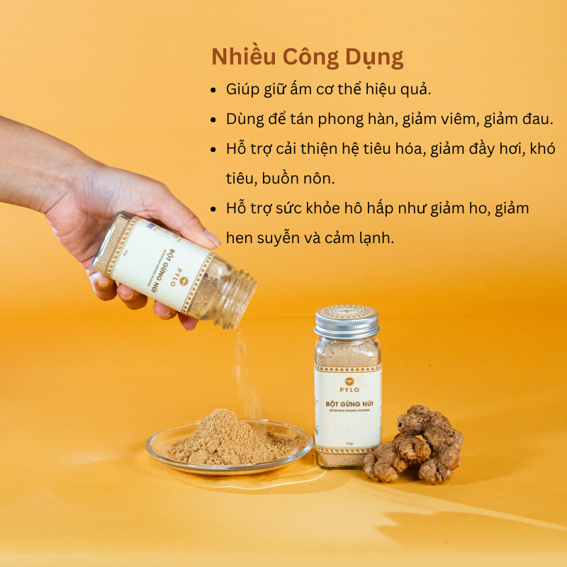 Bột Gừng Núi PyLo