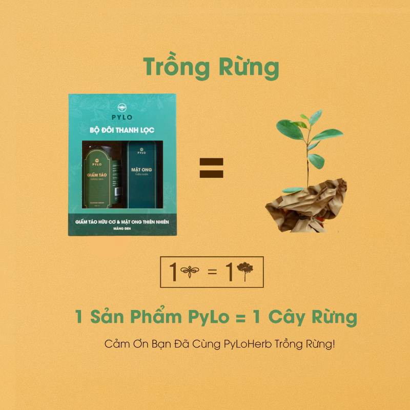 Combo Thanh Lọc [Giấm Táo Mật Ong PyLo]