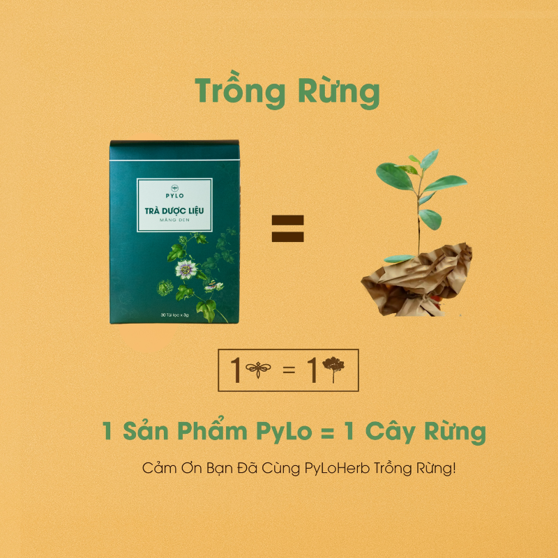 Trà Dược Liệu PyLo