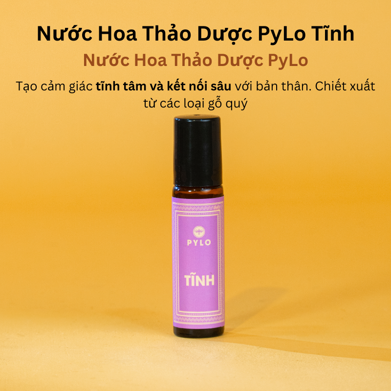 Chạm Vào An Yên