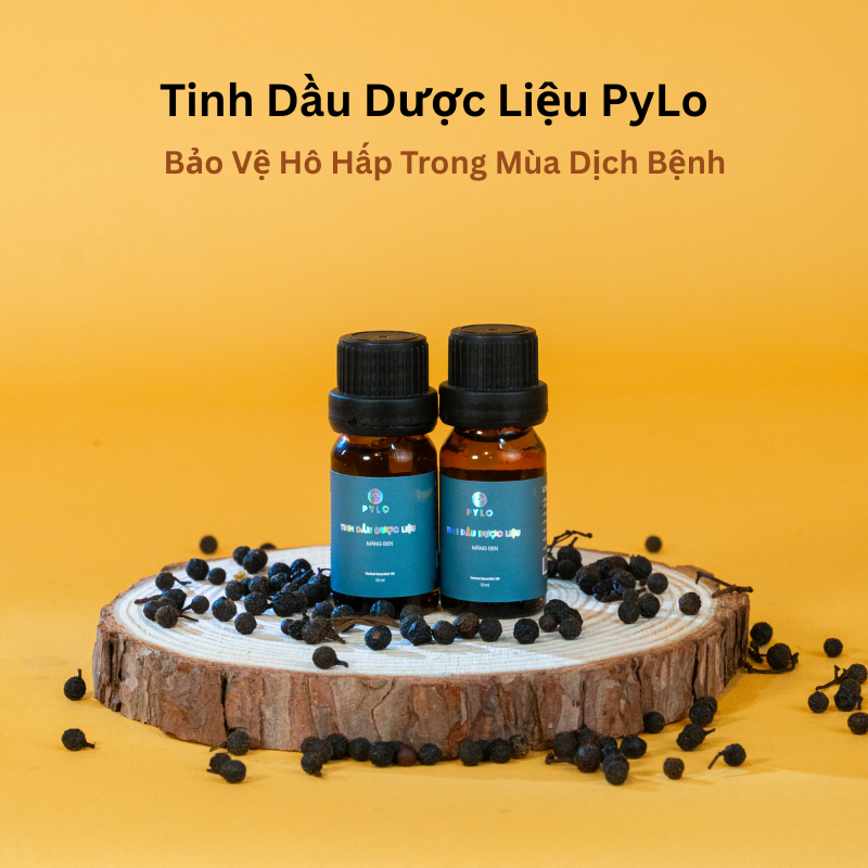 Tinh Dầu Dược Liệu PyLo