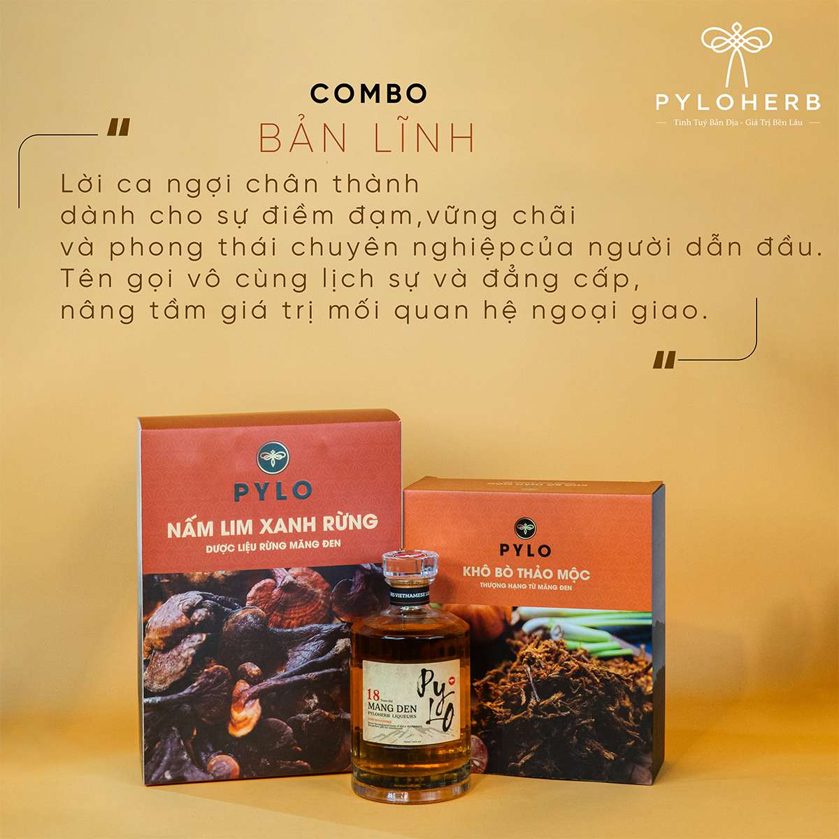 Combo Bản Lĩnh