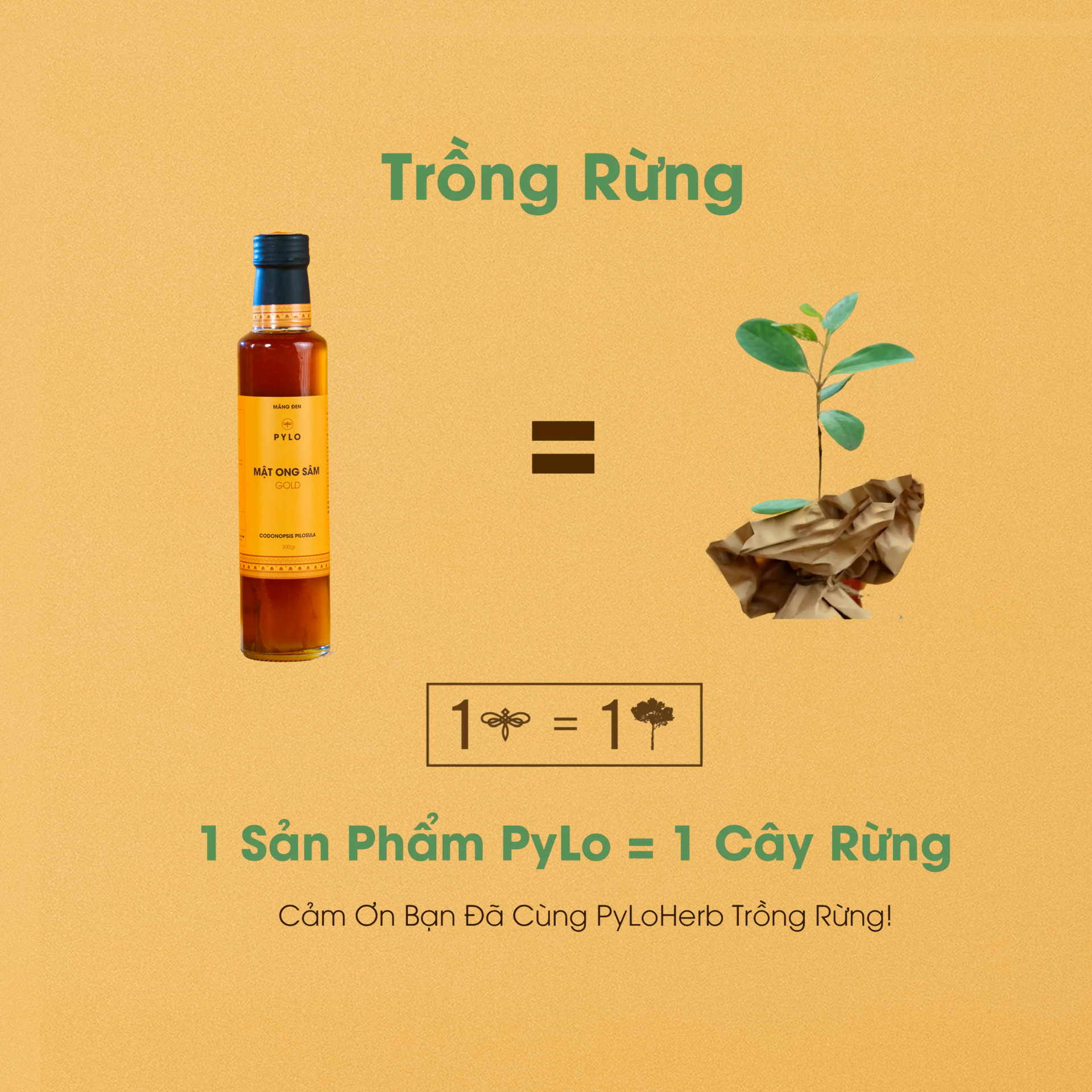 Mật Ong Sâm PyLo Gold - Vàng