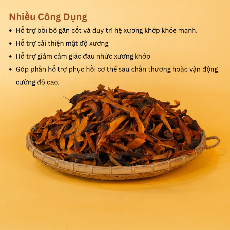 Cốt Toái Bổ Rừng PyLo