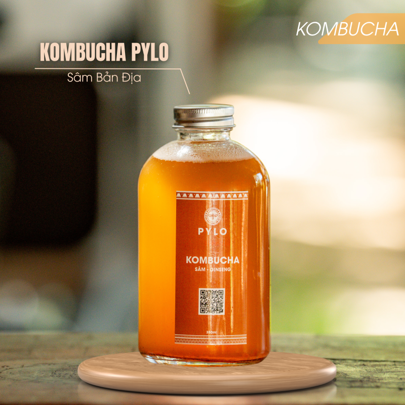 Trà Kombucha PyLo