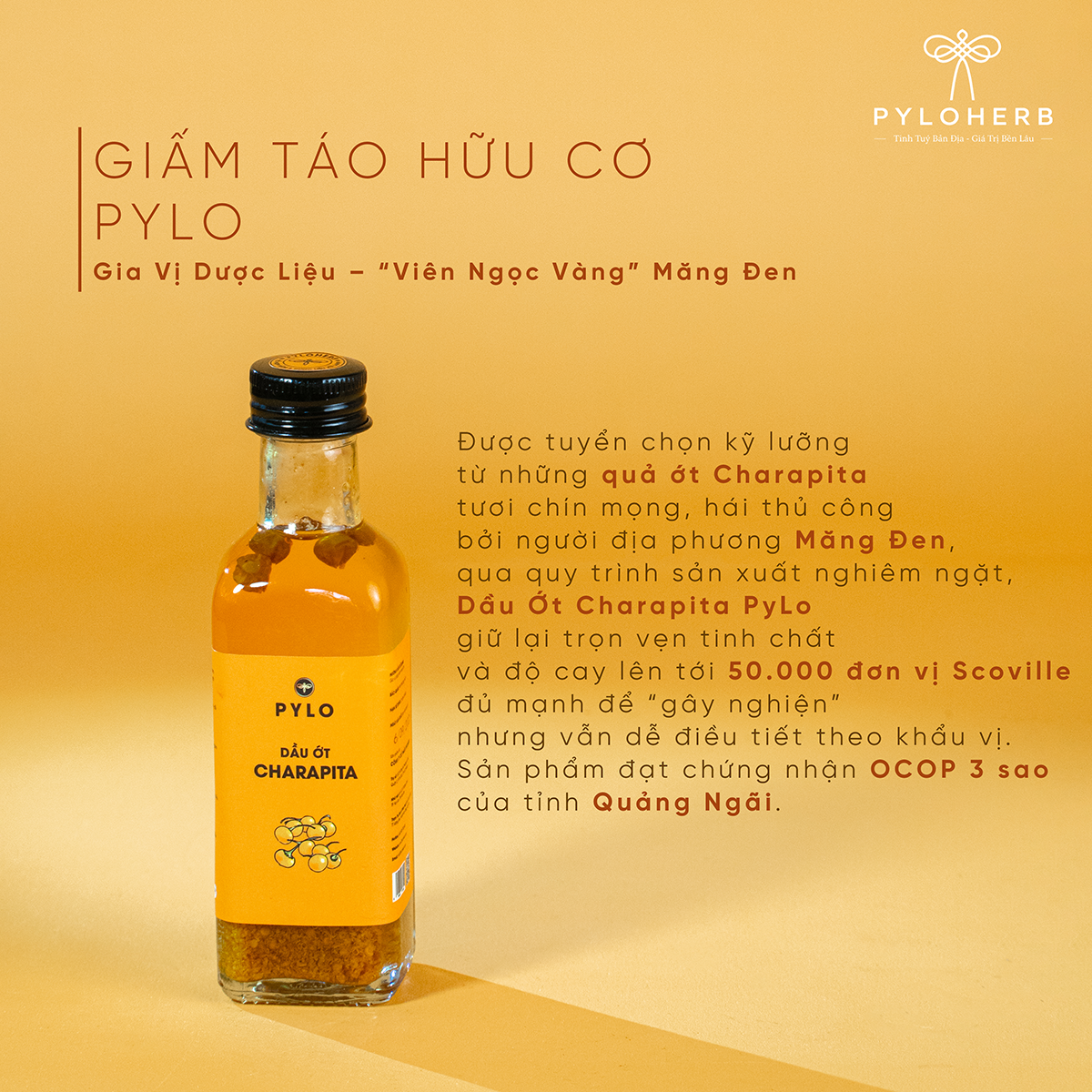Combo Giao Hòa Hương Vị