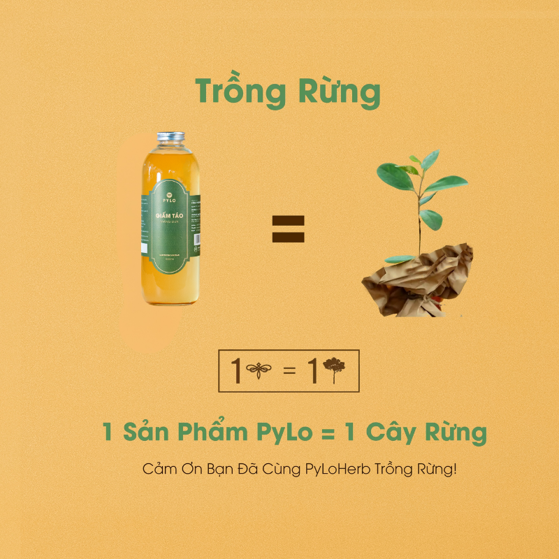 Giấm Táo Hữu Cơ PyLo