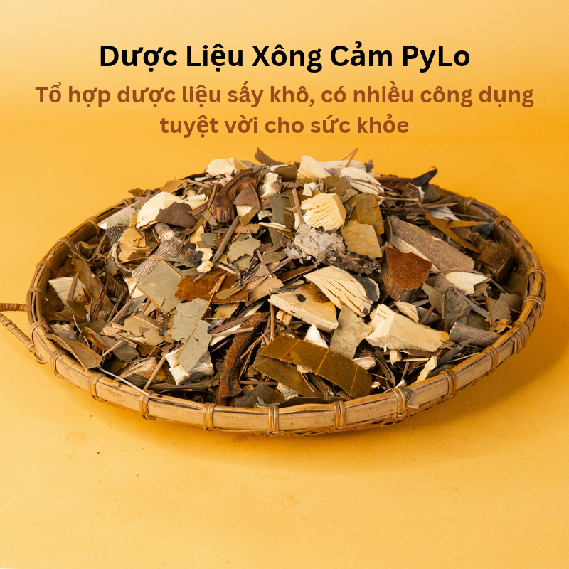 Dược Liệu Xông Cảm PyLo