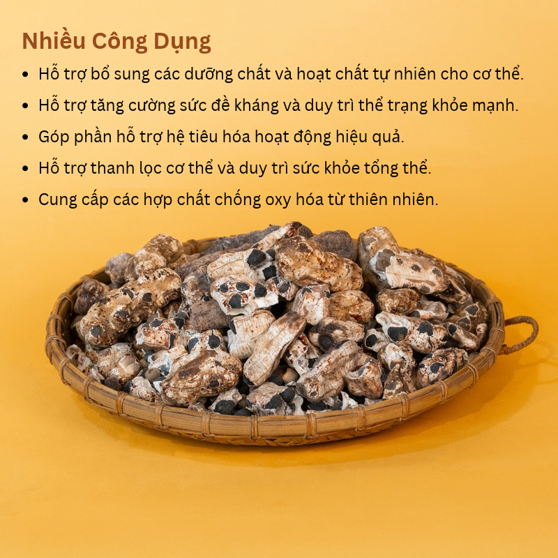 Chuối Cô Đơn Măng Đen PyLo