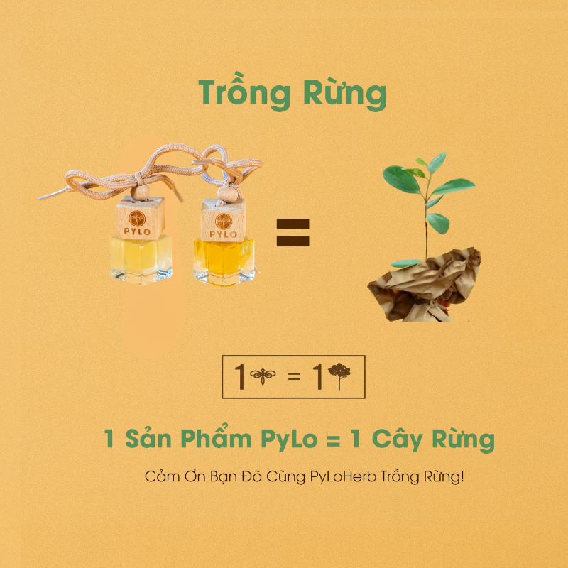 Tinh Dầu Treo PyLo - Sự Lựa Chọn Hoàn Hảo Cho Không Gian Sống